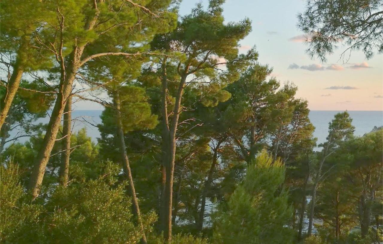 House In The Pines Villa Sutomore Kültér fotó